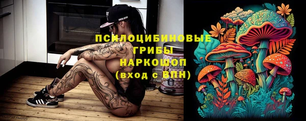 шишки Слюдянка