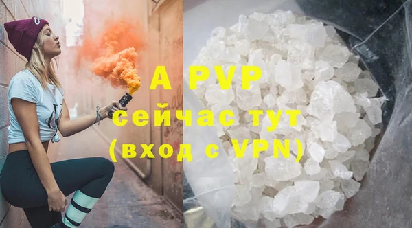 эйфоретик Беломорск