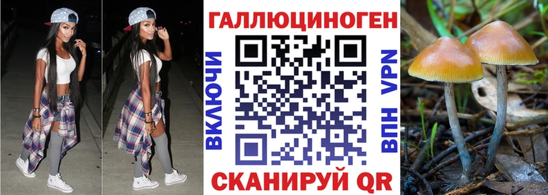 Галлюциногенные грибы Magic Shrooms  Печора 